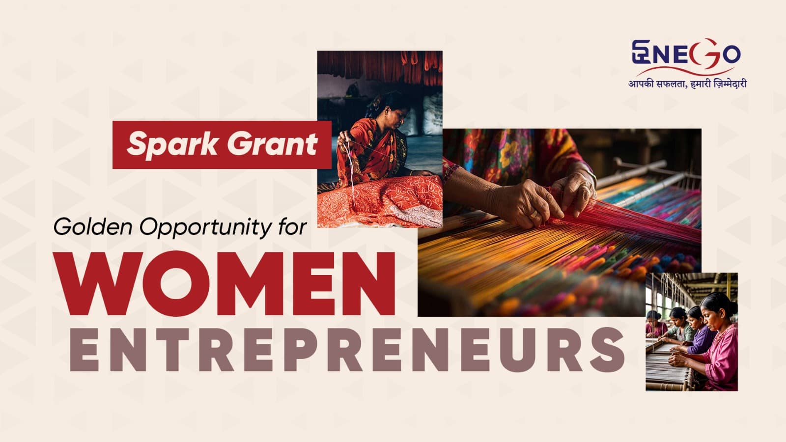 Spark Grant: Igniting Innovation
